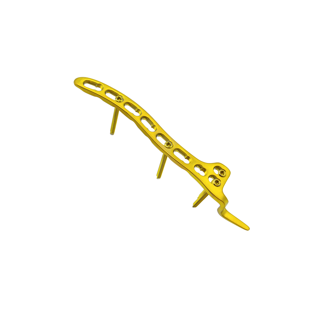 clavicle hook locking plate