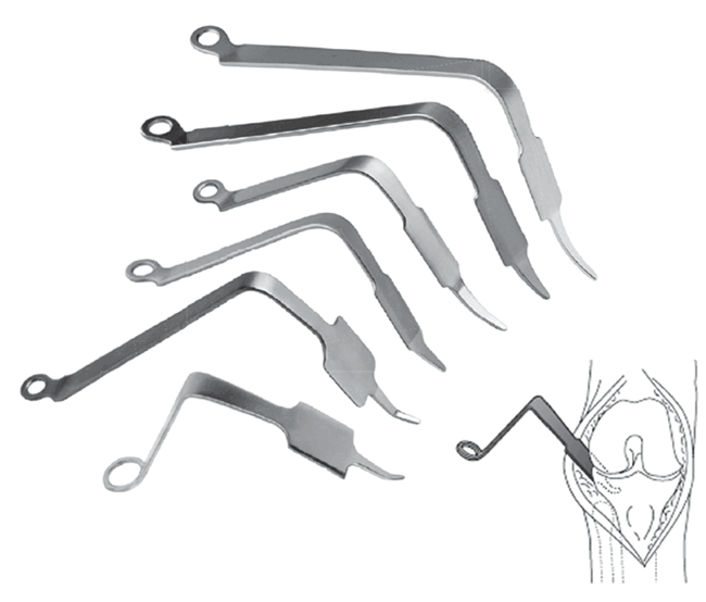 acetabulum hook retractor