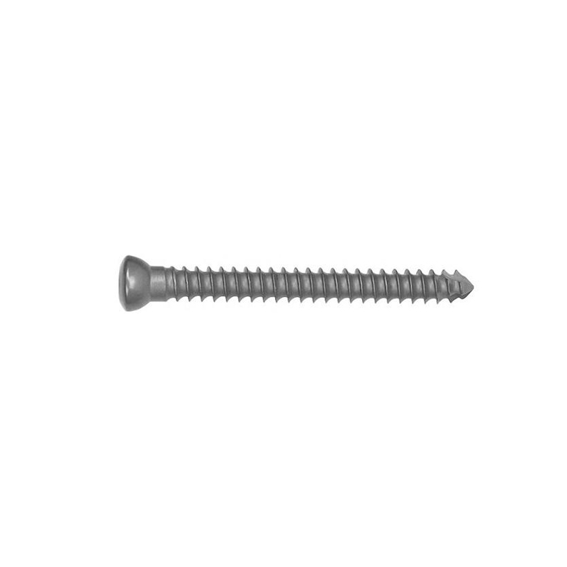 cancellous screw