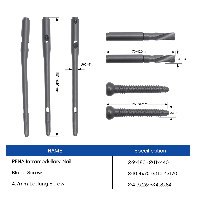 pfna nail
