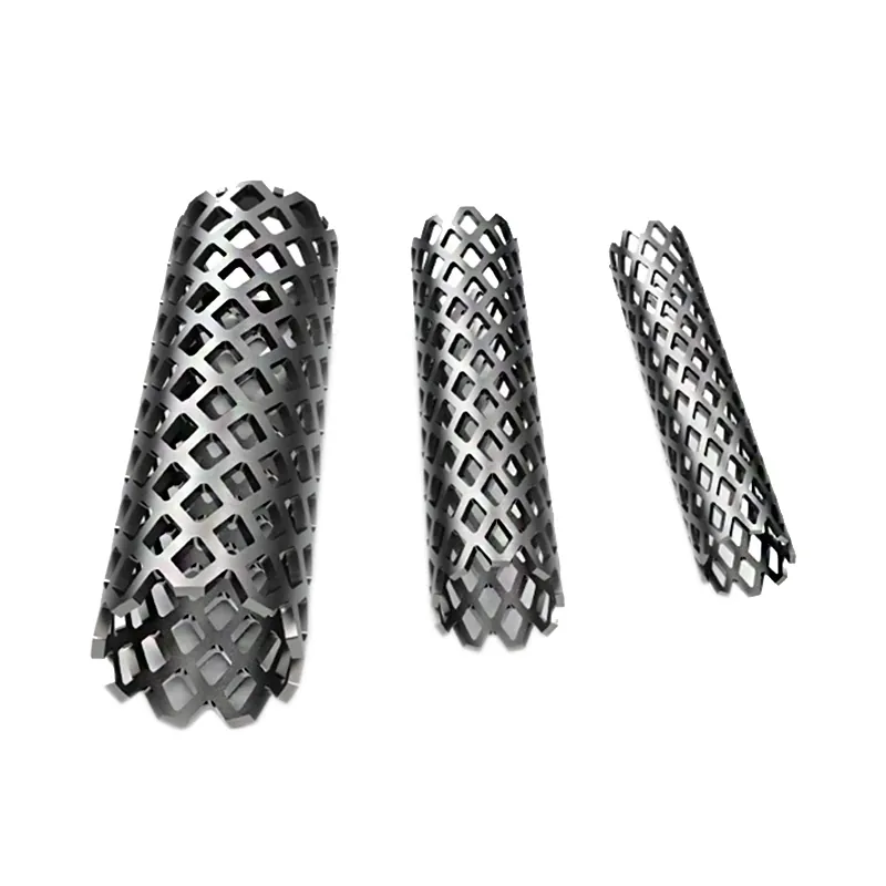 titanium mesh cage