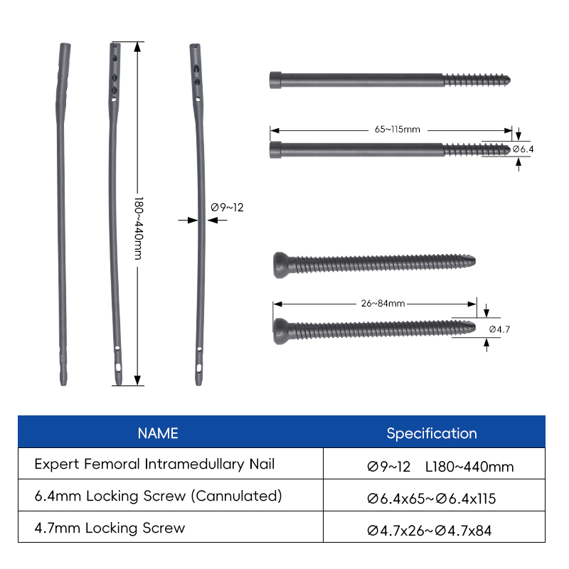 expert femoral nail