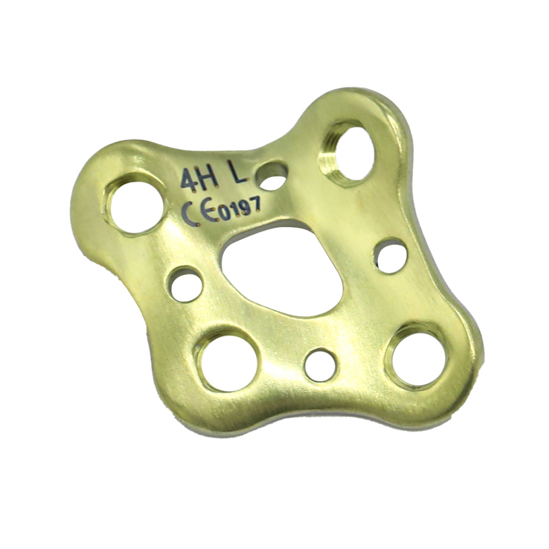 glenoid cavity locking plate