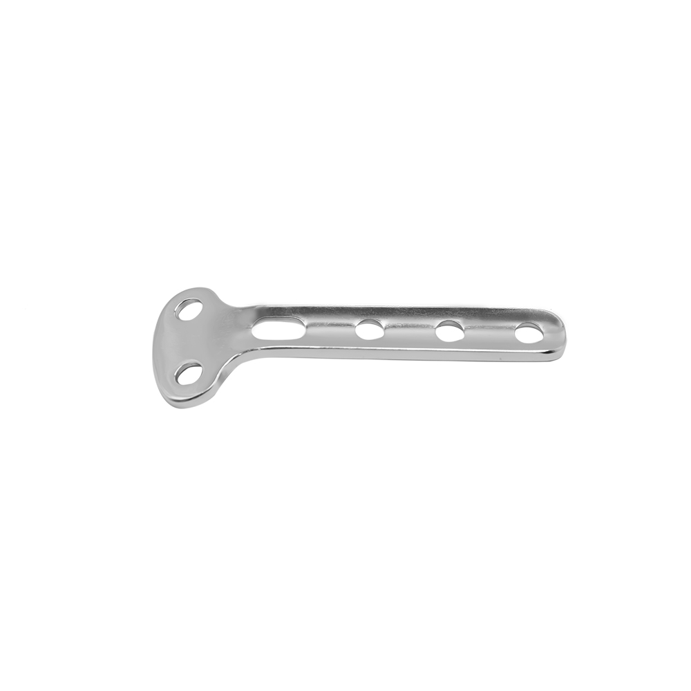 metacarpus medial distal radius plate