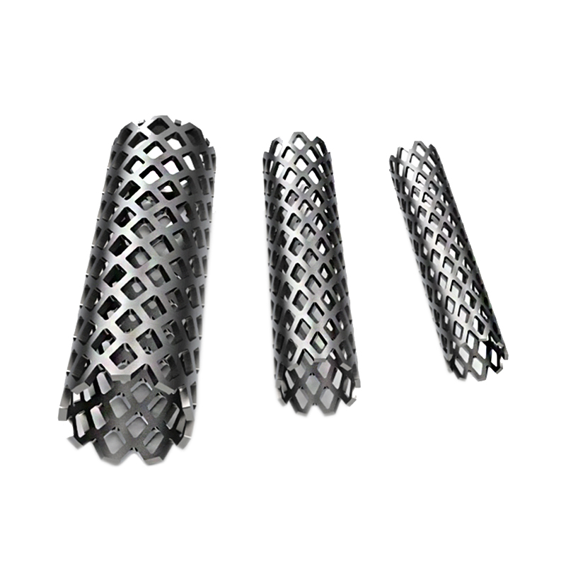 titanium mesh cage