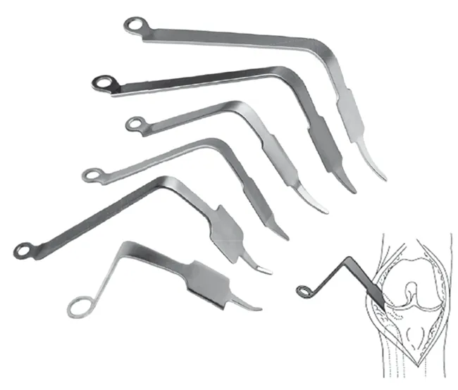 acetabulum hook retractor