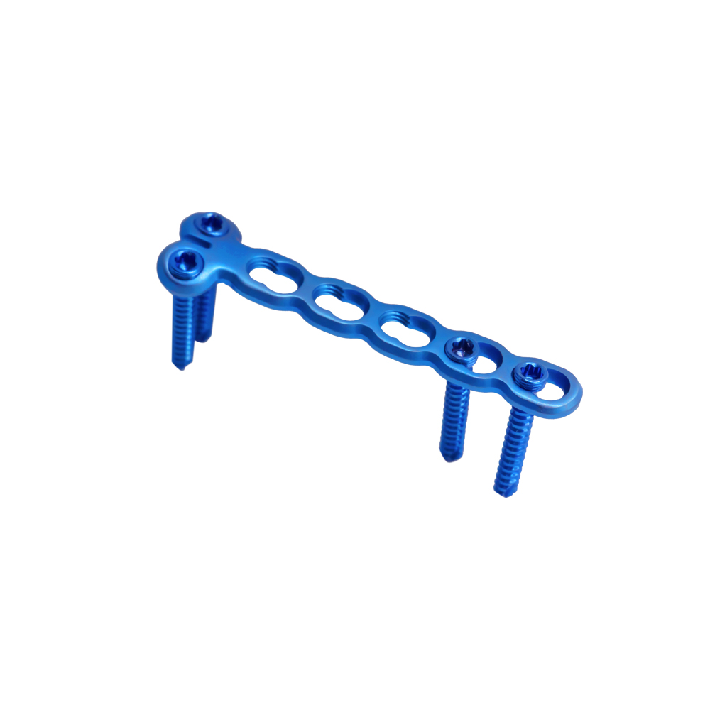 2 4 mm mini condylar locking plate