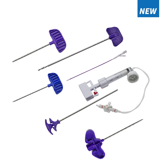 vertebral perforator