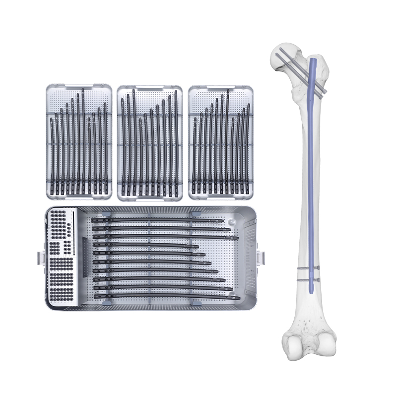 expert femoral intramedullary nail box