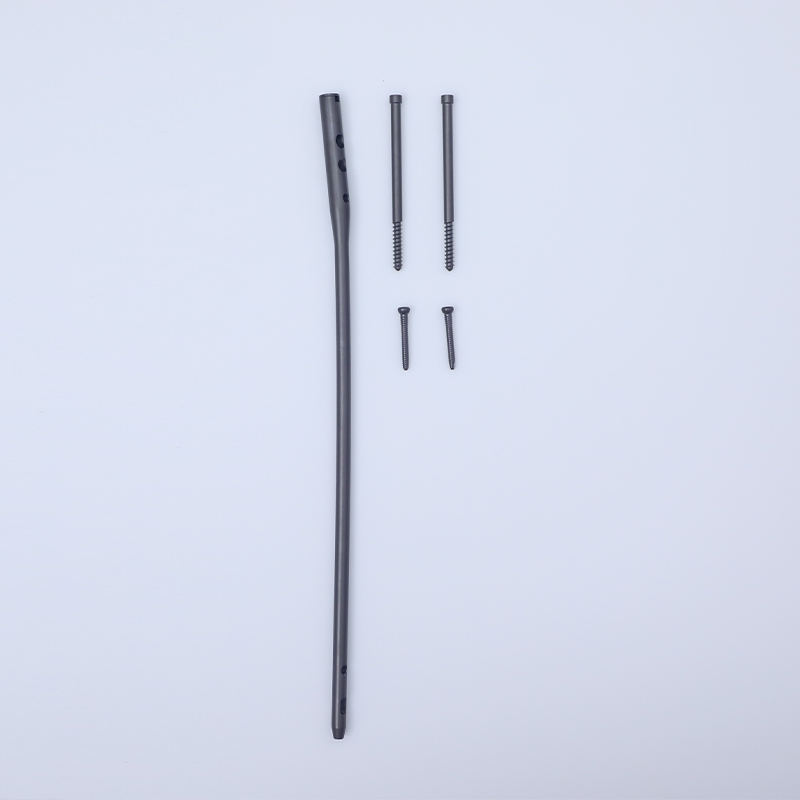 expert femoral intramedullary nail box