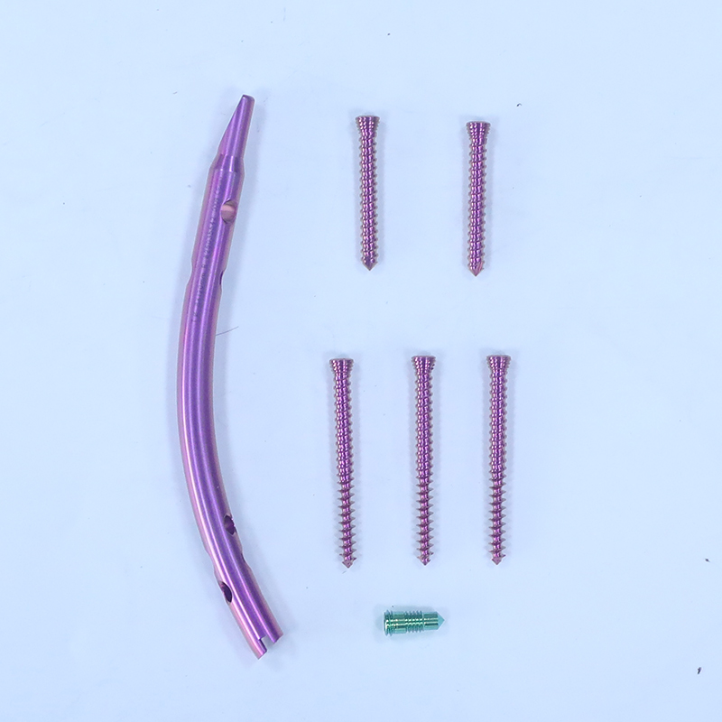 distal tibial intramedullary nail dtn box 1000 0139