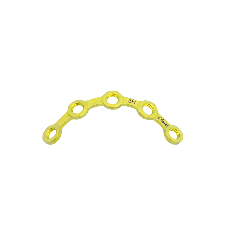 mt astragalus locking plate