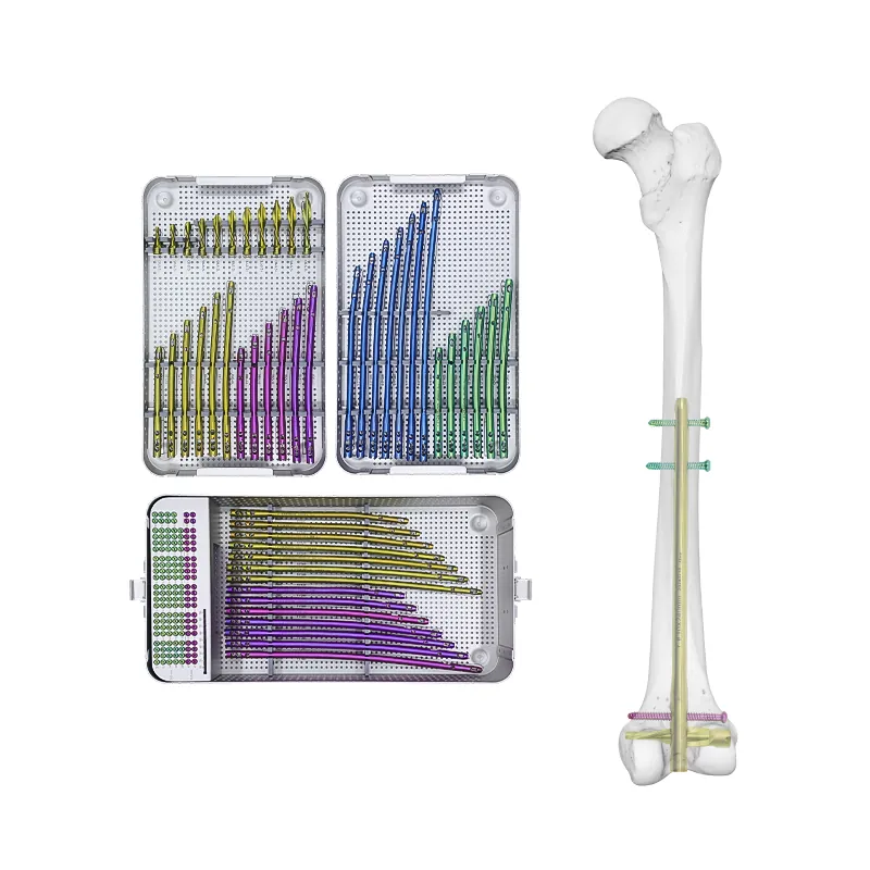 dfn intramedullary nail box 1000 0135