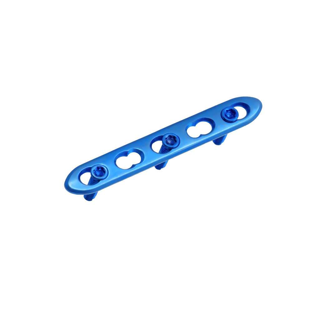 2 4 mm mini locking plate