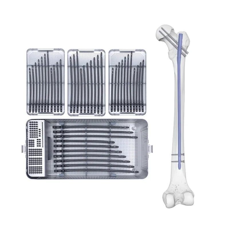 expert femoral intramedullary nail box