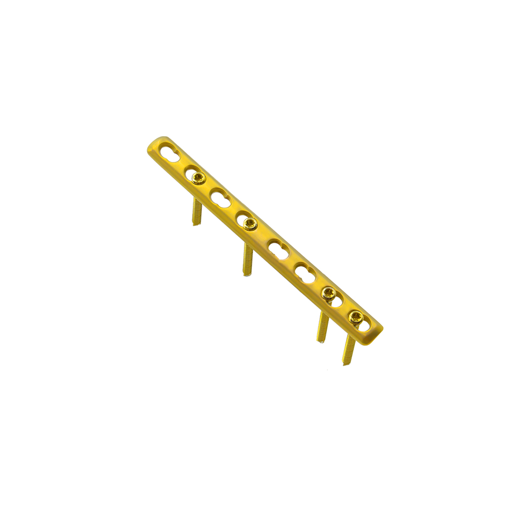 1 3 tubular locking plate