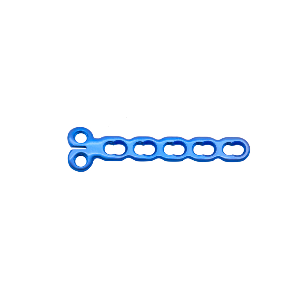 2 4 mm mini condylar locking plate
