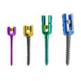 6.0 Spinal Pedicle Screw System - 1