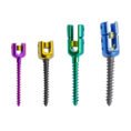 6.0 Spinal Pedicle Screw System